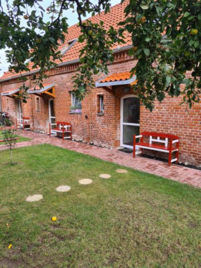 glücksklee, Wustrow